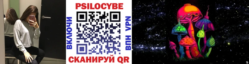 Купить  Покровск  Псилоцибиновые грибы Psilocybe 